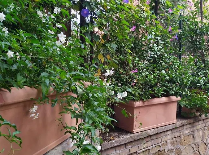 Гостевой дом Angolo Sul Giardino